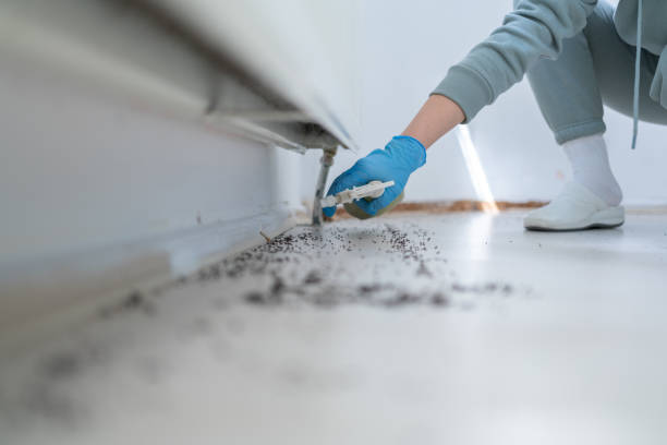 Best Insect Control  in Kinsley, KS